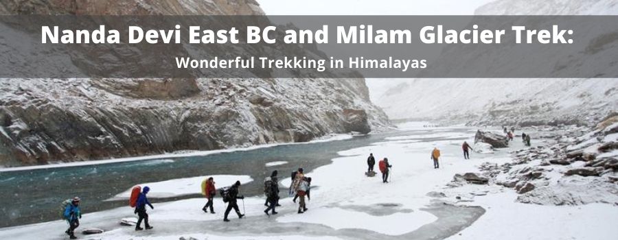 Nanda-Devi-East-BC-and-Milam-Glacier-Trek